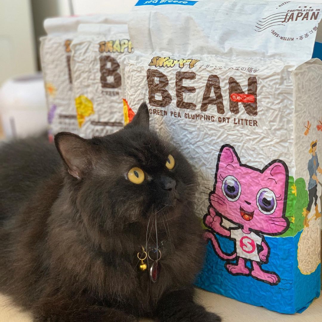thepersianknight - snappy bean green pea cat litter review / feedback / testimonial